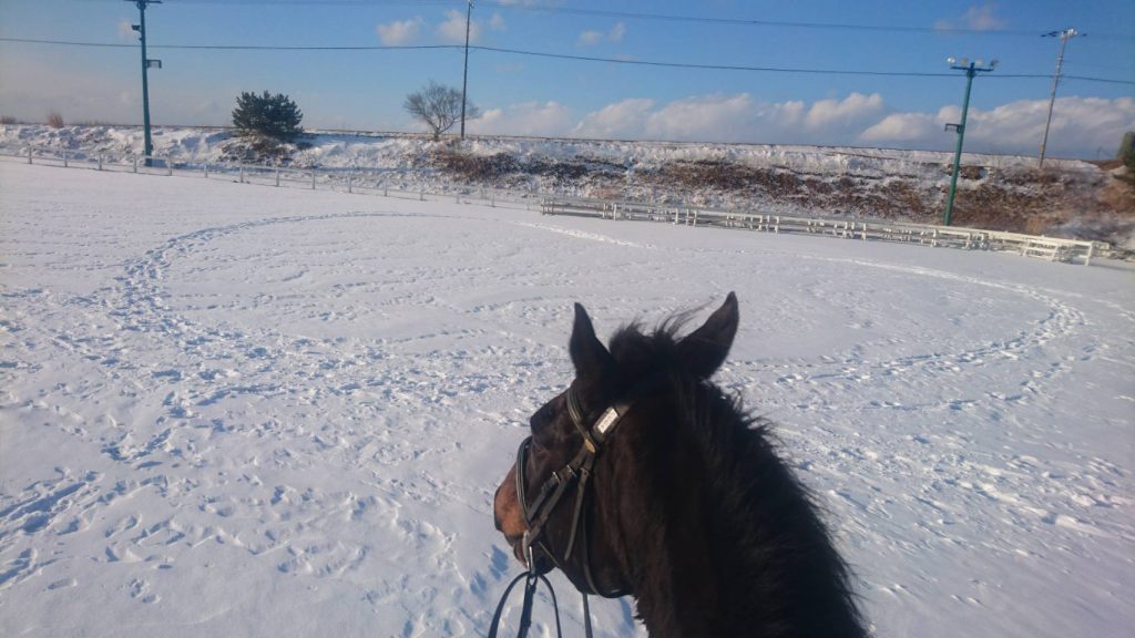 馬場の雪にハートの足跡